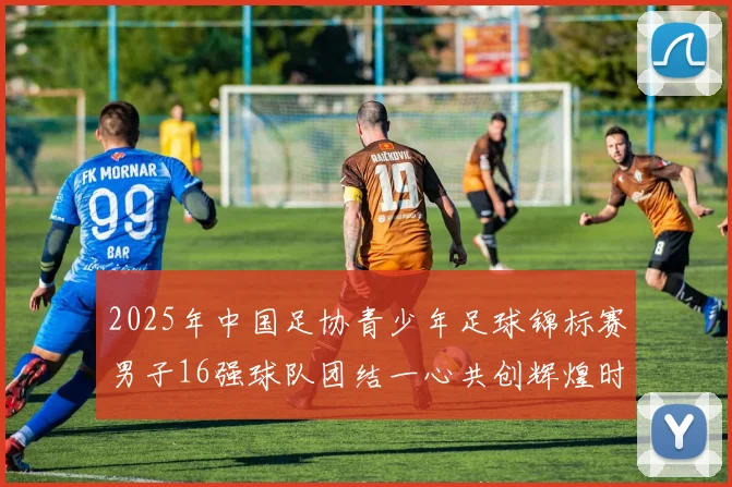 2025年中国足协青少年足球锦标赛男子16强球队团结一心共创辉煌时刻