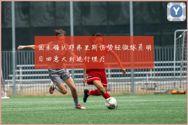 国米确认邓弗里斯伤势轻微球员明日回意大利进行理疗