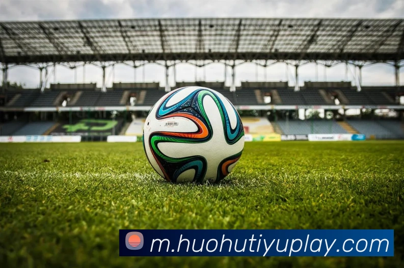 火狐体育平台生态图